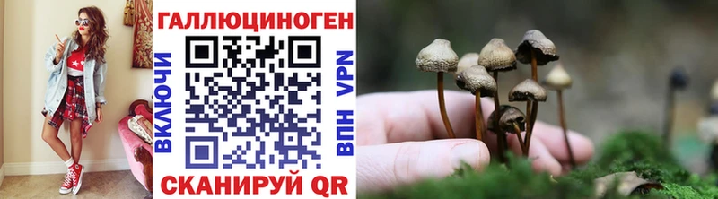 Галлюциногенные грибы Cubensis  Купить где  Нижняя Тура 